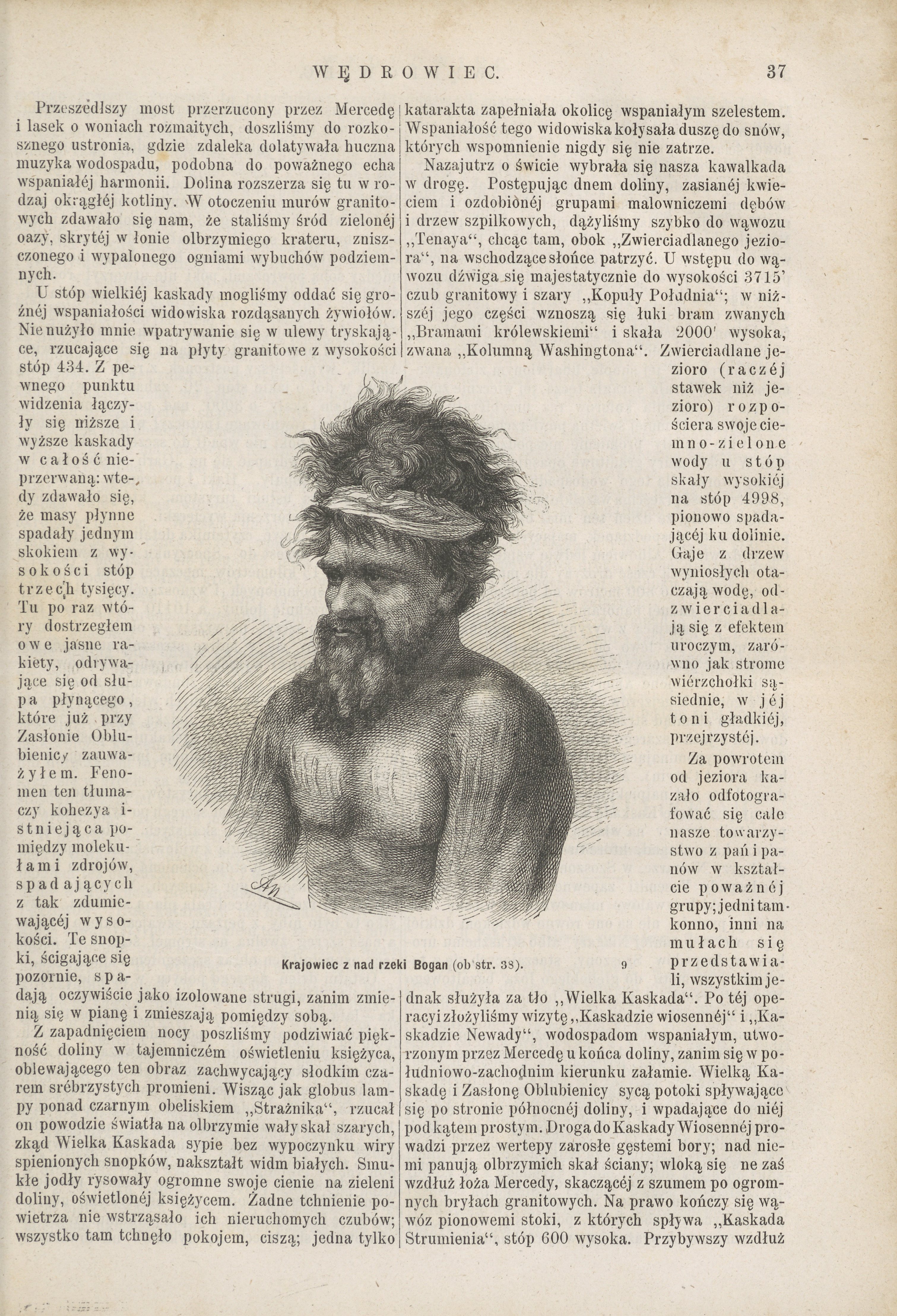 illustration showing a Maori man
