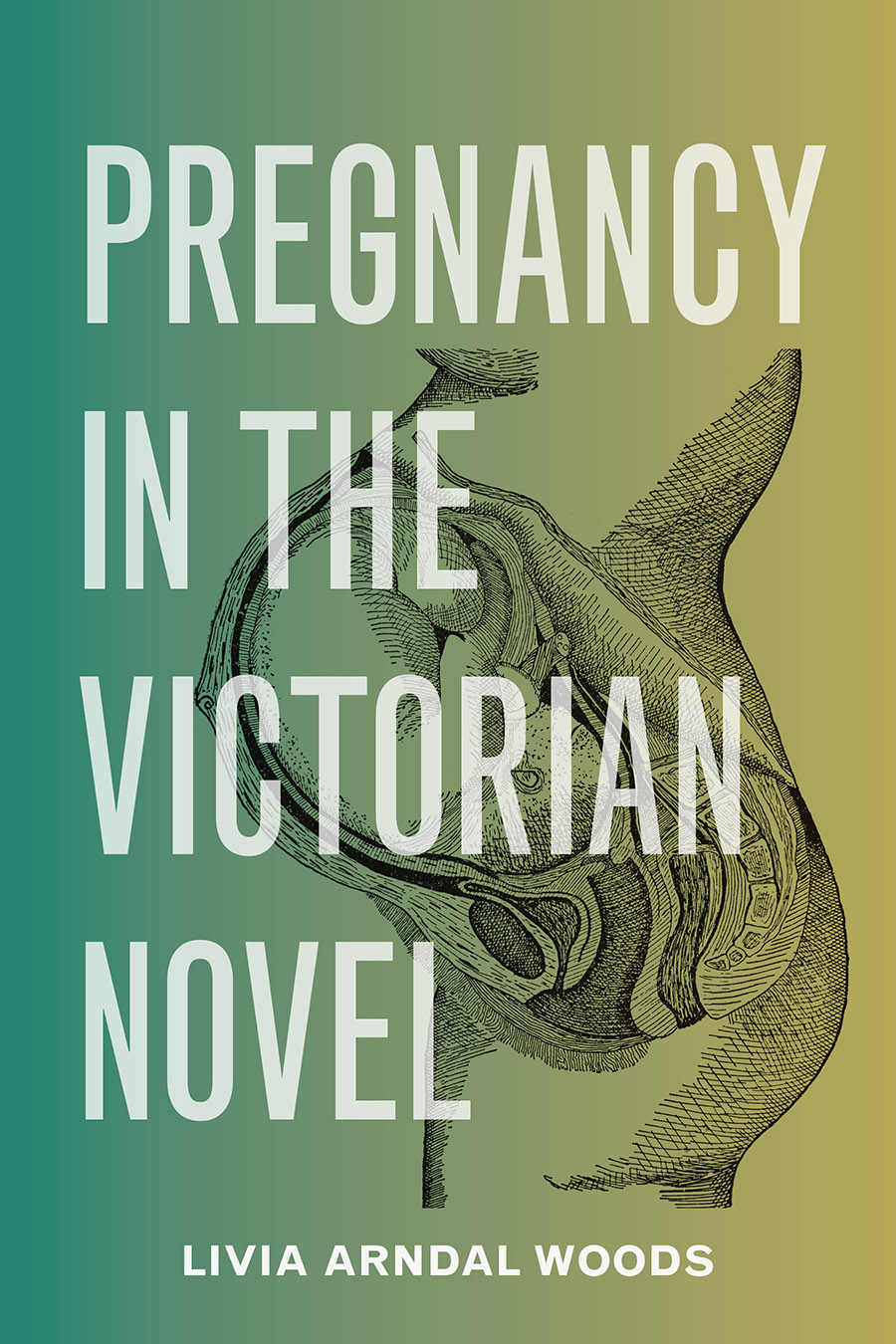 Cover of Pregnancy in the Victorian Novel